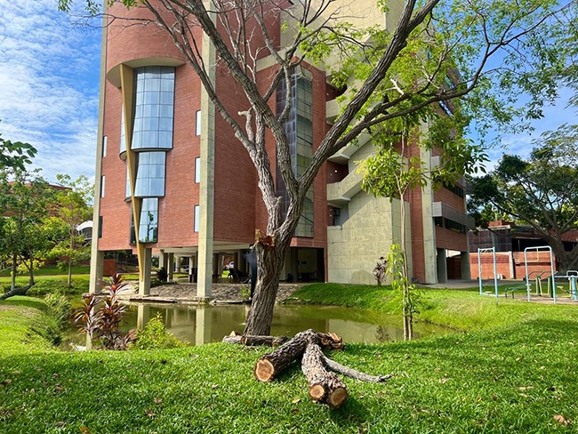 Campus de la UCAB Guayana es el segundo más sostenible del país