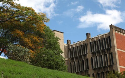 200 peldaños escaló la UCAB en el Impact Ranking 2024, listado internacional de desarrollo sostenible universitario