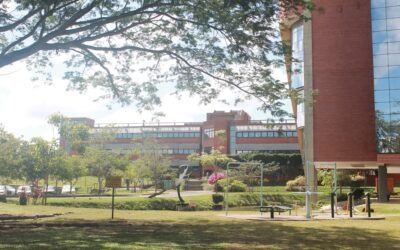 Vacaciones con propósito: aprendizaje y diversión en los Week Camps de la UCAB Guayana