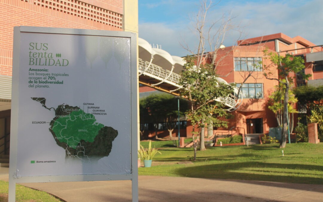 La UCAB Guayana transforma su campus en una experiencia de sostenibilidad para la ciudad con su Aula Verde