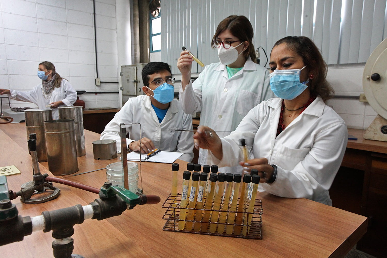 Laboratorios Escuela de Educación