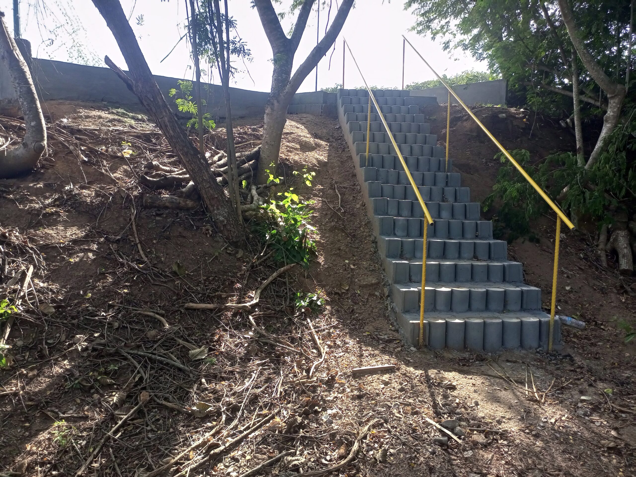 100. Construcción de Sendero de Interpretación - UCAB Guayana