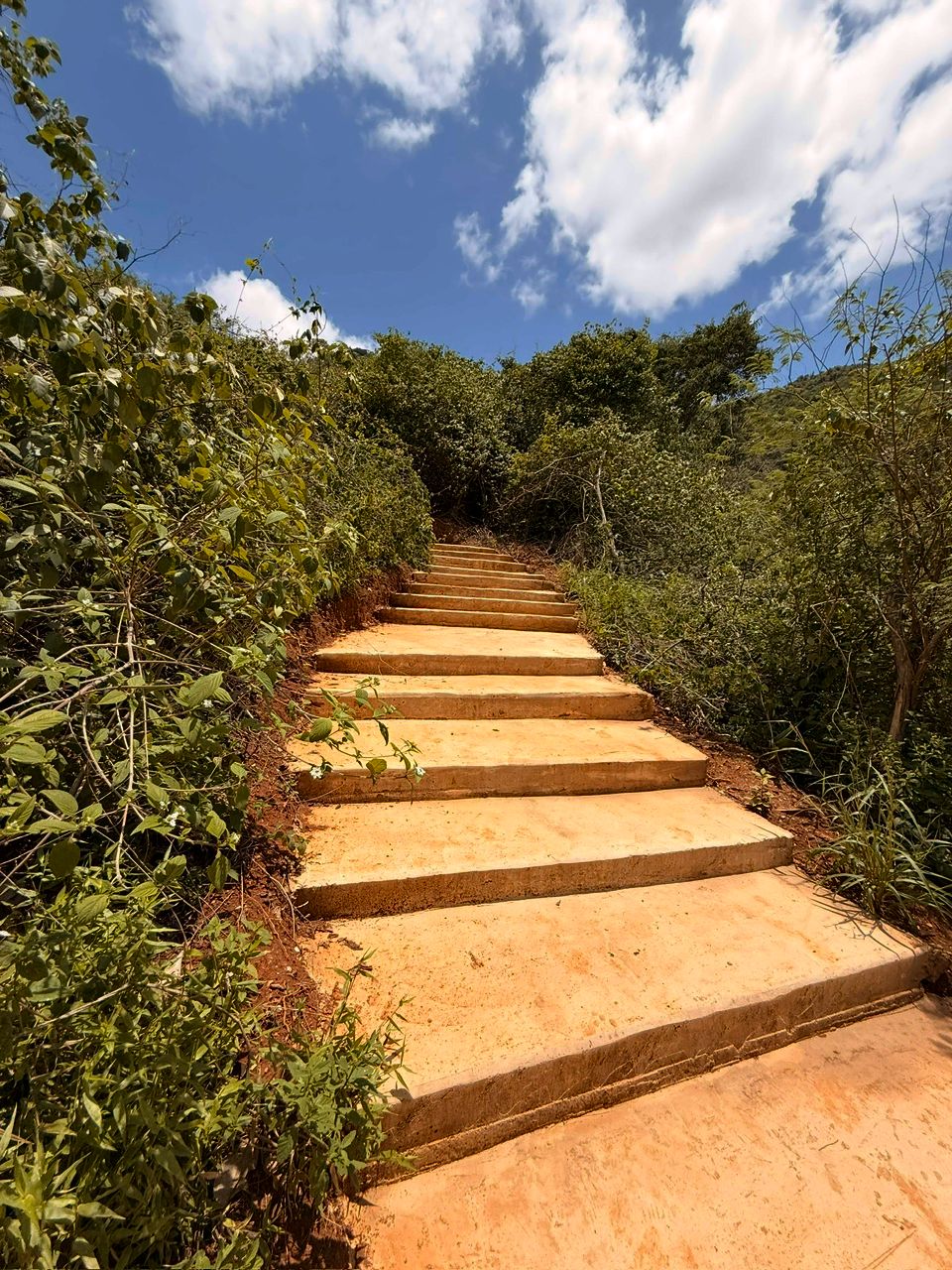 112. Sendero Ecológico UCAB, Etapa 1