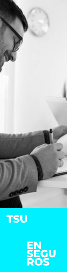 Tarjetas carreras responsiv TSU Seguros