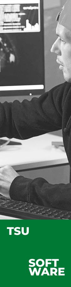 Tarjetas carreras responsiv TSU Diseño Software