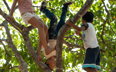 Parhueña, Amazonas